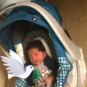 Meet your Posher, Bebe